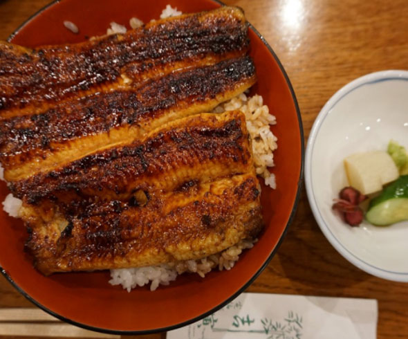 오사카맛집,오사카,대구플라이트 여행지정보