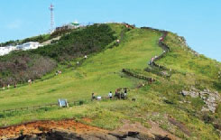 제주도,대구플라이트 여행지정보