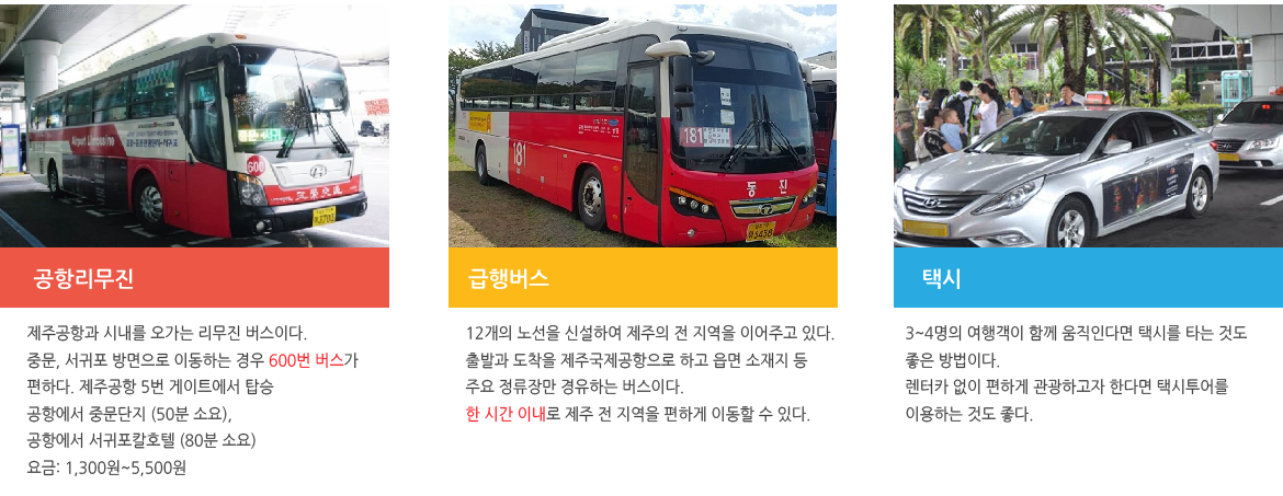 제주도,대구플라이트 여행지정보