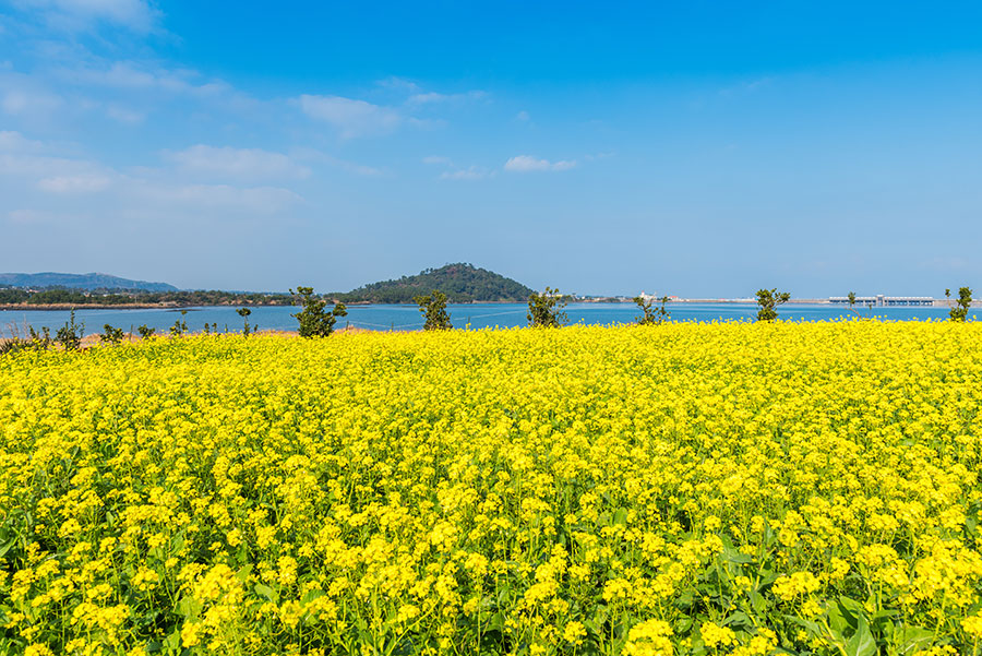 제주도 2박3일 맞춤여행  대구플라이트 [1]